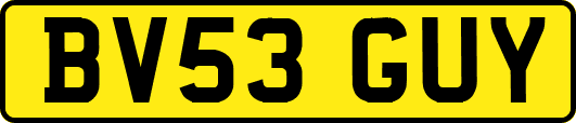 BV53GUY