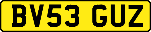 BV53GUZ