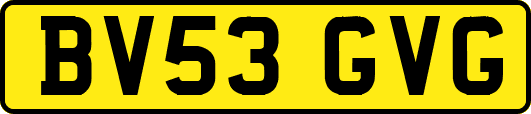 BV53GVG