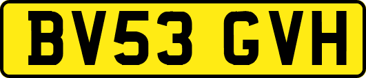 BV53GVH