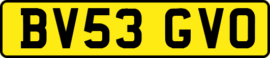 BV53GVO