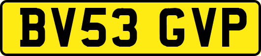 BV53GVP