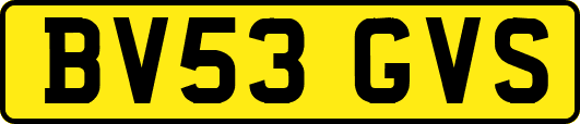 BV53GVS