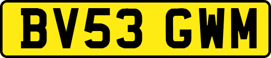 BV53GWM