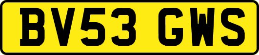 BV53GWS