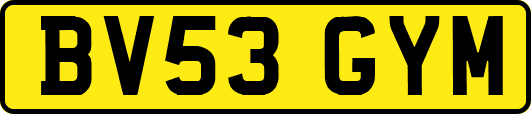 BV53GYM