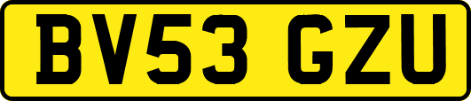 BV53GZU