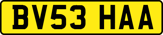 BV53HAA