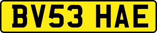 BV53HAE