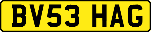 BV53HAG