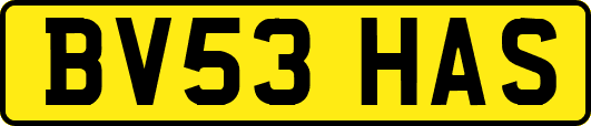 BV53HAS