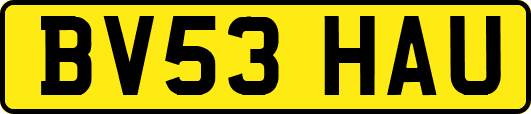 BV53HAU