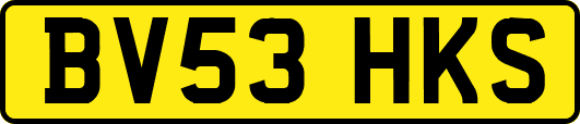 BV53HKS