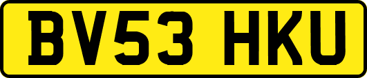 BV53HKU