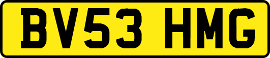BV53HMG