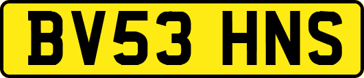 BV53HNS