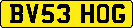 BV53HOG
