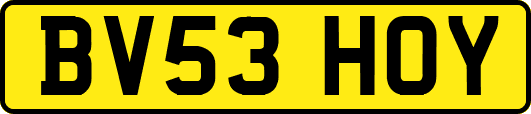 BV53HOY