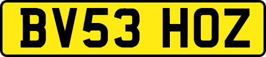 BV53HOZ