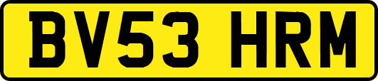 BV53HRM