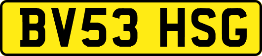 BV53HSG