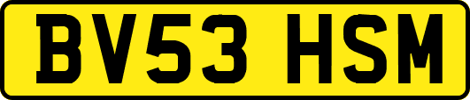 BV53HSM