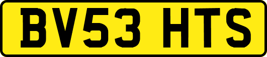 BV53HTS