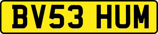 BV53HUM