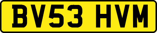 BV53HVM