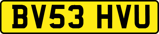 BV53HVU