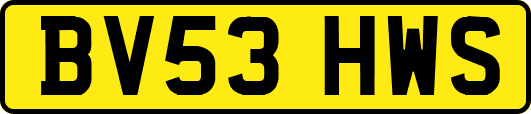 BV53HWS
