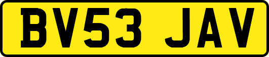 BV53JAV