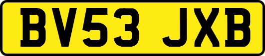 BV53JXB