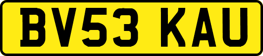 BV53KAU