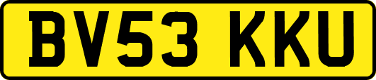 BV53KKU