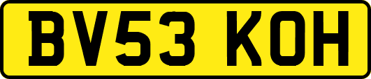 BV53KOH