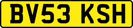 BV53KSH