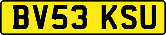 BV53KSU
