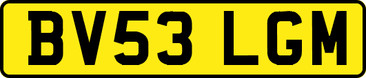 BV53LGM