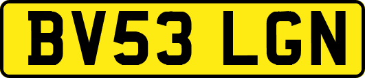 BV53LGN