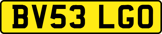 BV53LGO