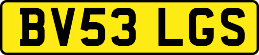 BV53LGS