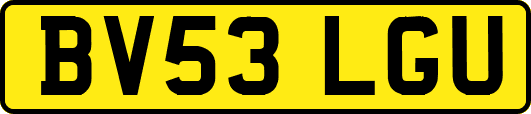 BV53LGU