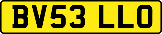 BV53LLO
