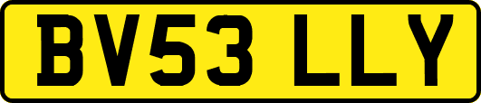 BV53LLY