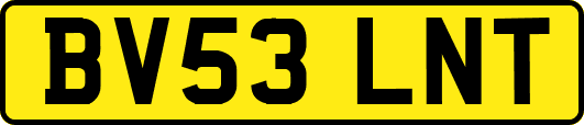 BV53LNT