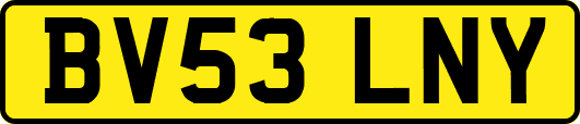 BV53LNY