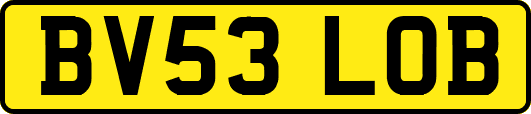 BV53LOB