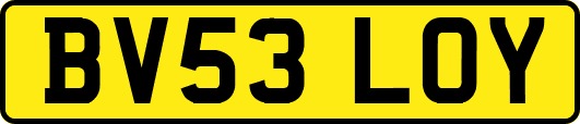BV53LOY