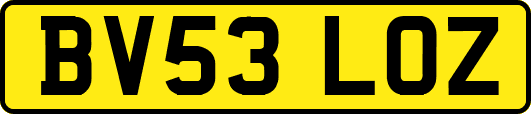 BV53LOZ